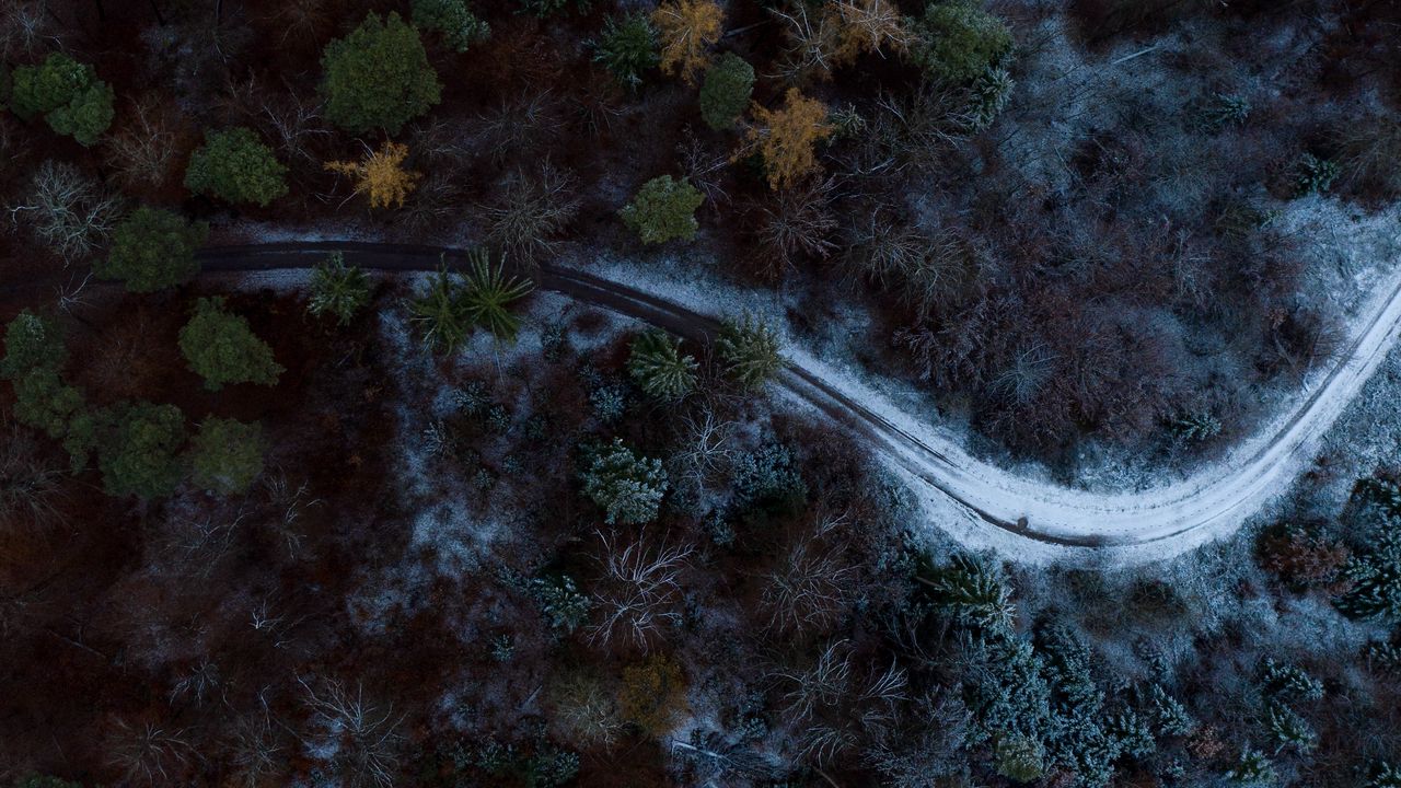 Wallpaper road, forest, aerial view, trees, snow