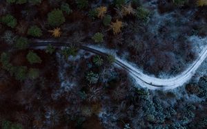 Preview wallpaper road, forest, aerial view, trees, snow