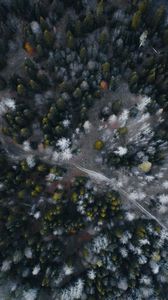 Preview wallpaper road, forest, aerial view, trees, overview
