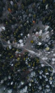 Preview wallpaper road, forest, aerial view, trees, overview