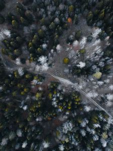 Preview wallpaper road, forest, aerial view, trees, overview
