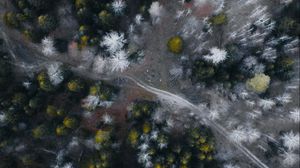 Preview wallpaper road, forest, aerial view, trees, overview