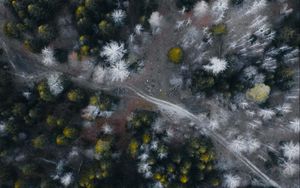 Preview wallpaper road, forest, aerial view, trees, overview