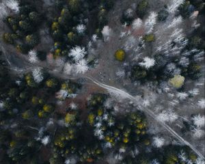 Preview wallpaper road, forest, aerial view, trees, overview