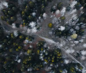 Preview wallpaper road, forest, aerial view, trees, overview