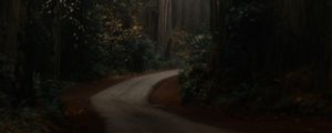 Preview wallpaper road, forest, alley, trees