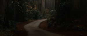 Preview wallpaper road, forest, alley, trees