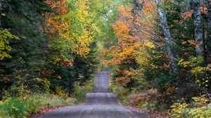 Preview wallpaper road, forest, autumn, relief, nature