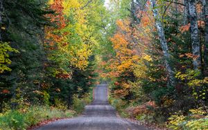 Preview wallpaper road, forest, autumn, relief, nature