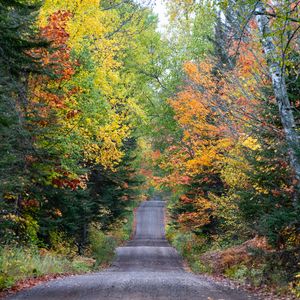 Preview wallpaper road, forest, autumn, relief, nature