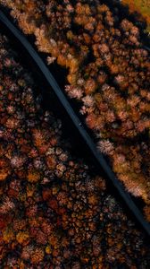 Preview wallpaper road, forest, autumn, aerial view, trees