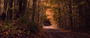 Preview wallpaper road, forest, autumn, trees, path