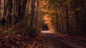 Preview wallpaper road, forest, autumn, trees, path