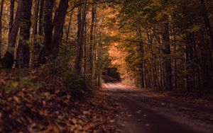 Preview wallpaper road, forest, autumn, trees, path