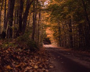 Preview wallpaper road, forest, autumn, trees, path