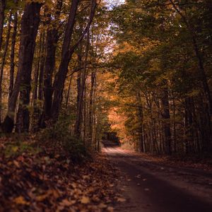 Preview wallpaper road, forest, autumn, trees, path