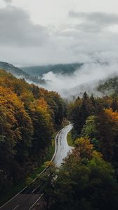 Preview wallpaper road, forest, autumn, fog, clouds