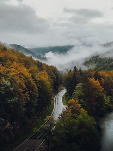 Preview wallpaper road, forest, autumn, fog, clouds