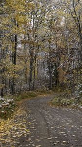 Preview wallpaper road, forest, autumn, snow, nature