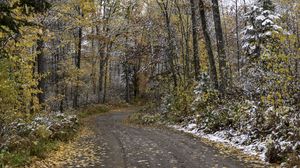 Preview wallpaper road, forest, autumn, snow, nature
