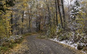 Preview wallpaper road, forest, autumn, snow, nature