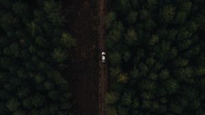 Preview wallpaper road, forest, car, aerial view