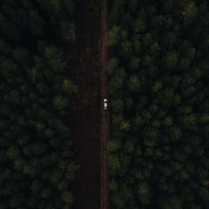 Preview wallpaper road, forest, car, aerial view
