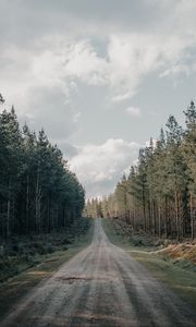 Preview wallpaper road, forest, conifer, hill, nature