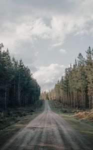 Preview wallpaper road, forest, conifer, hill, nature