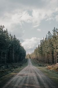 Preview wallpaper road, forest, conifer, hill, nature