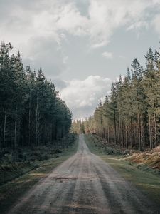 Preview wallpaper road, forest, conifer, hill, nature