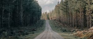 Preview wallpaper road, forest, conifer, hill, nature