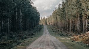 Preview wallpaper road, forest, conifer, hill, nature