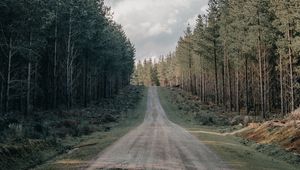 Preview wallpaper road, forest, conifer, hill, nature