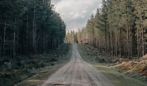 Preview wallpaper road, forest, conifer, hill, nature