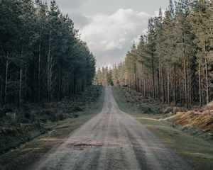 Preview wallpaper road, forest, conifer, hill, nature