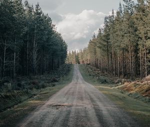 Preview wallpaper road, forest, conifer, hill, nature