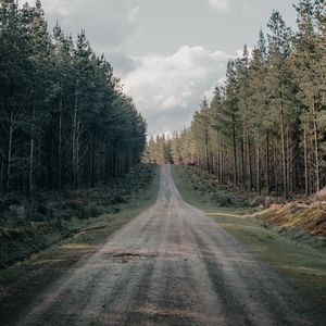 Preview wallpaper road, forest, conifer, hill, nature