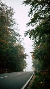 Preview wallpaper road, forest, fog, nature