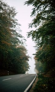 Preview wallpaper road, forest, fog, nature