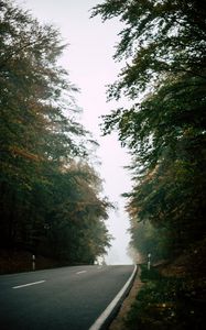 Preview wallpaper road, forest, fog, nature