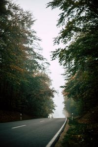 Preview wallpaper road, forest, fog, nature