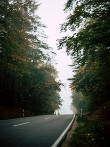 Preview wallpaper road, forest, fog, nature