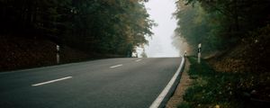 Preview wallpaper road, forest, fog, nature