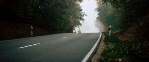 Preview wallpaper road, forest, fog, nature