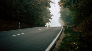 Preview wallpaper road, forest, fog, nature