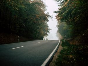 Preview wallpaper road, forest, fog, nature