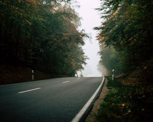 Preview wallpaper road, forest, fog, nature