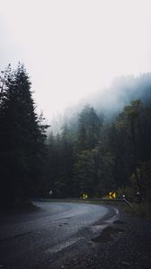 Preview wallpaper road, forest, fog, turn, asphalt, trees