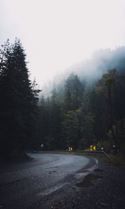 Preview wallpaper road, forest, fog, turn, asphalt, trees